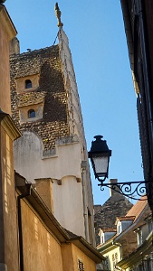 20250629_081906